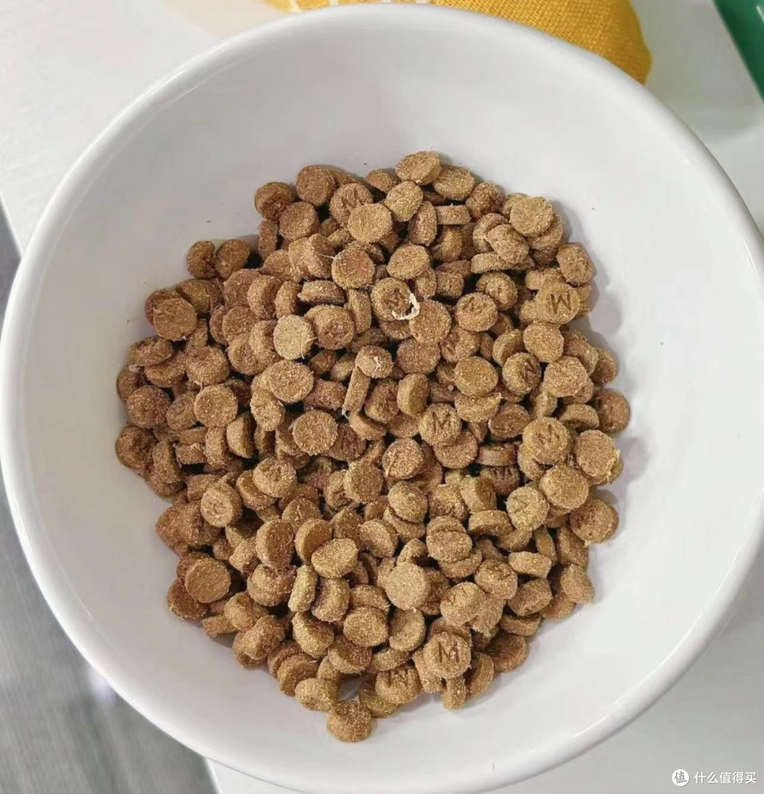 刚开始养狗,该怎么选择适合的狗粮?