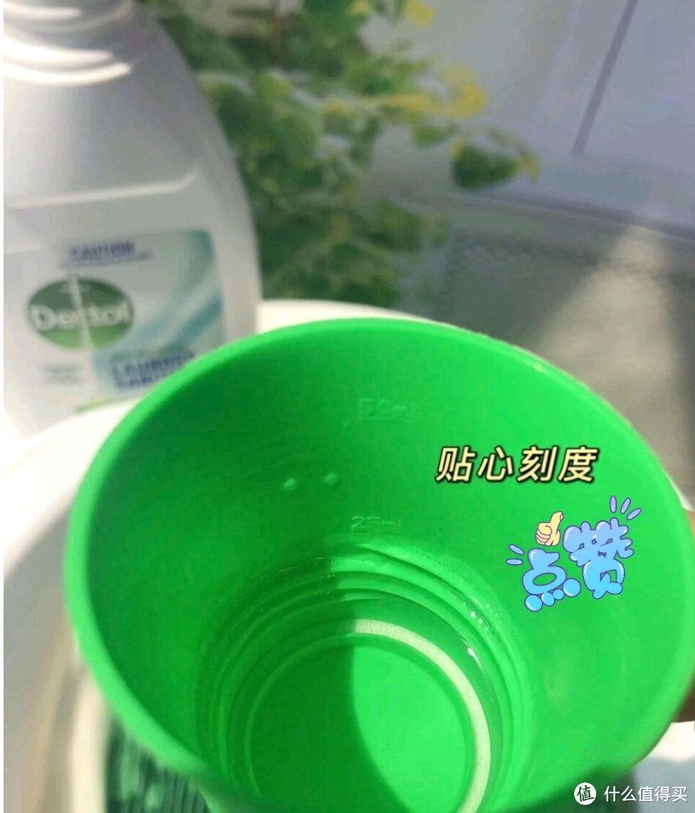 滴露（Dettol）衣物除菌液内衣裤除菌：守护私密健康的贴心伴侣