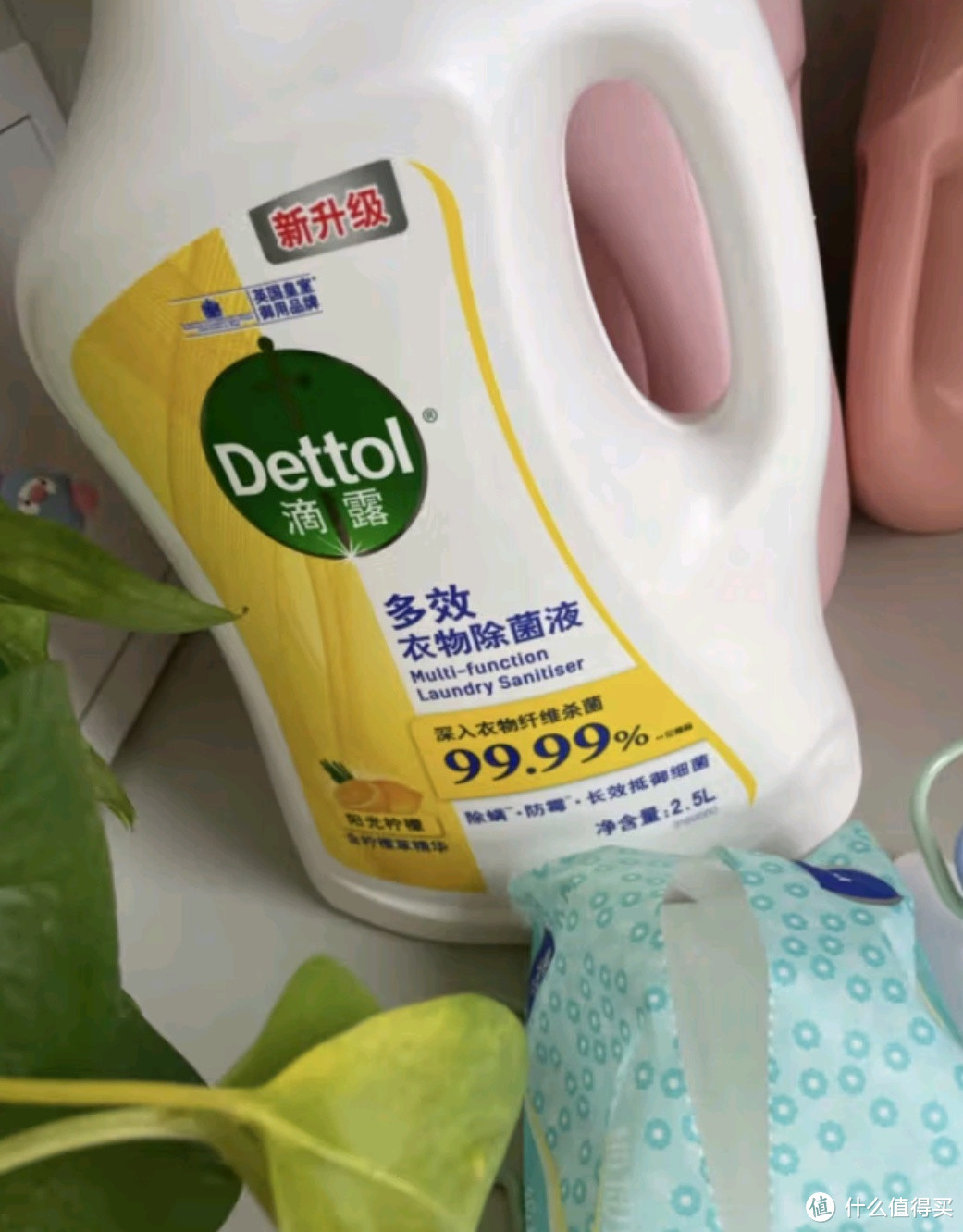 滴露（Dettol）多效衣物除菌液阳光柠檬 2.5L：衣物护理的贴心之选