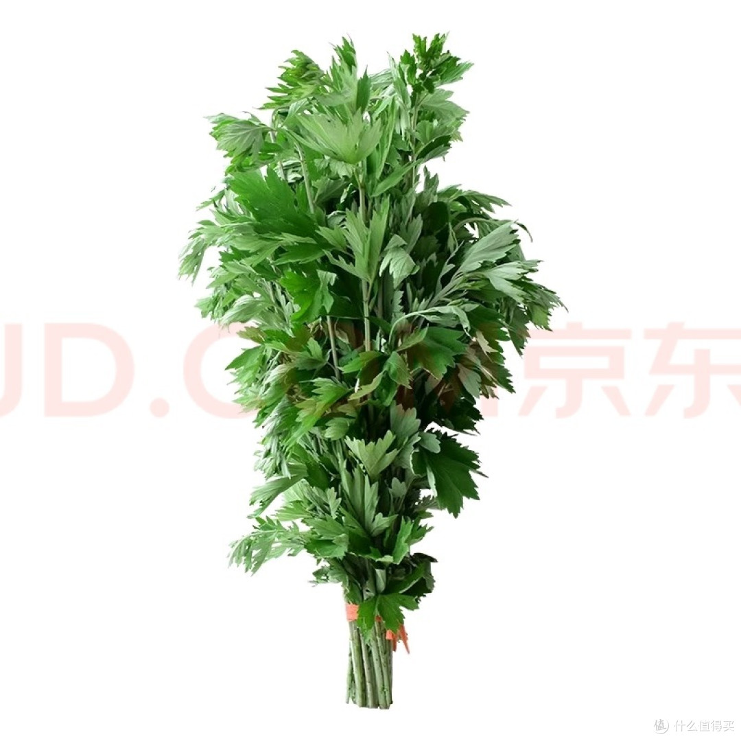 图片来源于京东