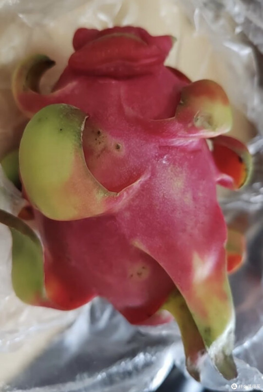 京鲜生推荐：越南红心火龙果，每一口都是惊喜！