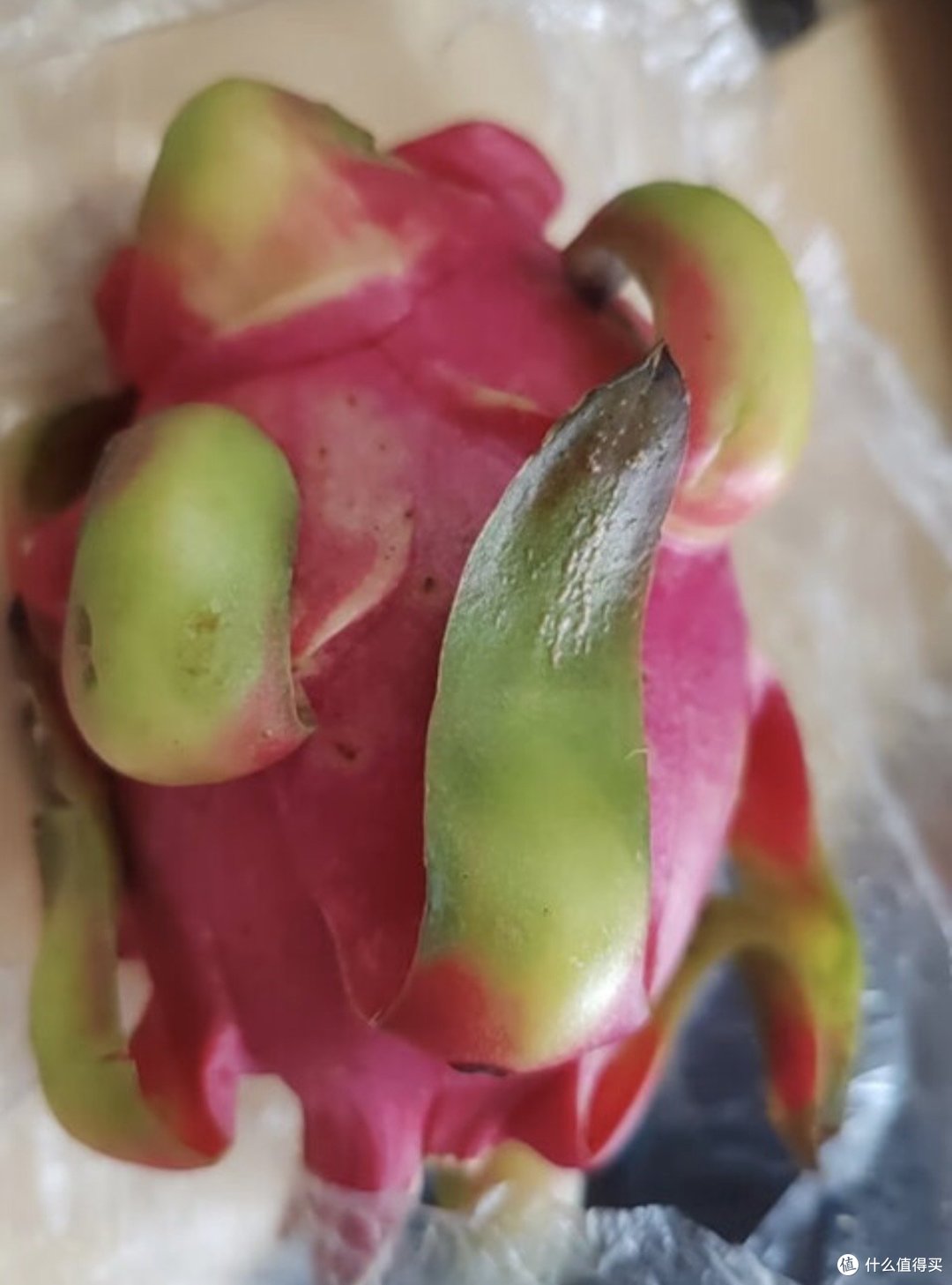 京鲜生推荐：越南红心火龙果，每一口都是惊喜！