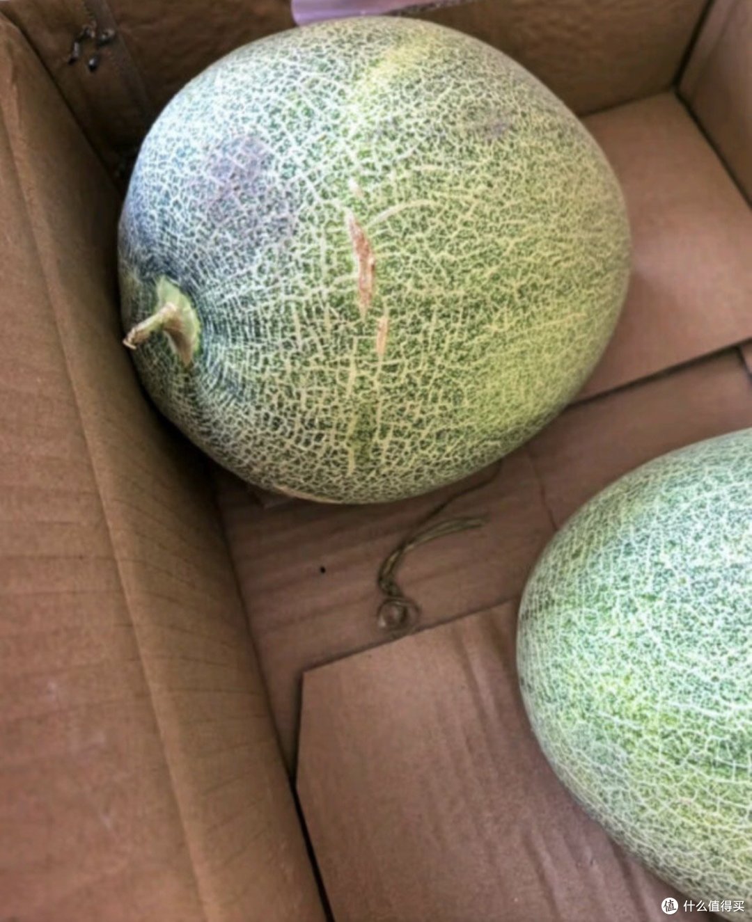 京鲜生网纹蜜瓜:自然之味,甜蜜之选