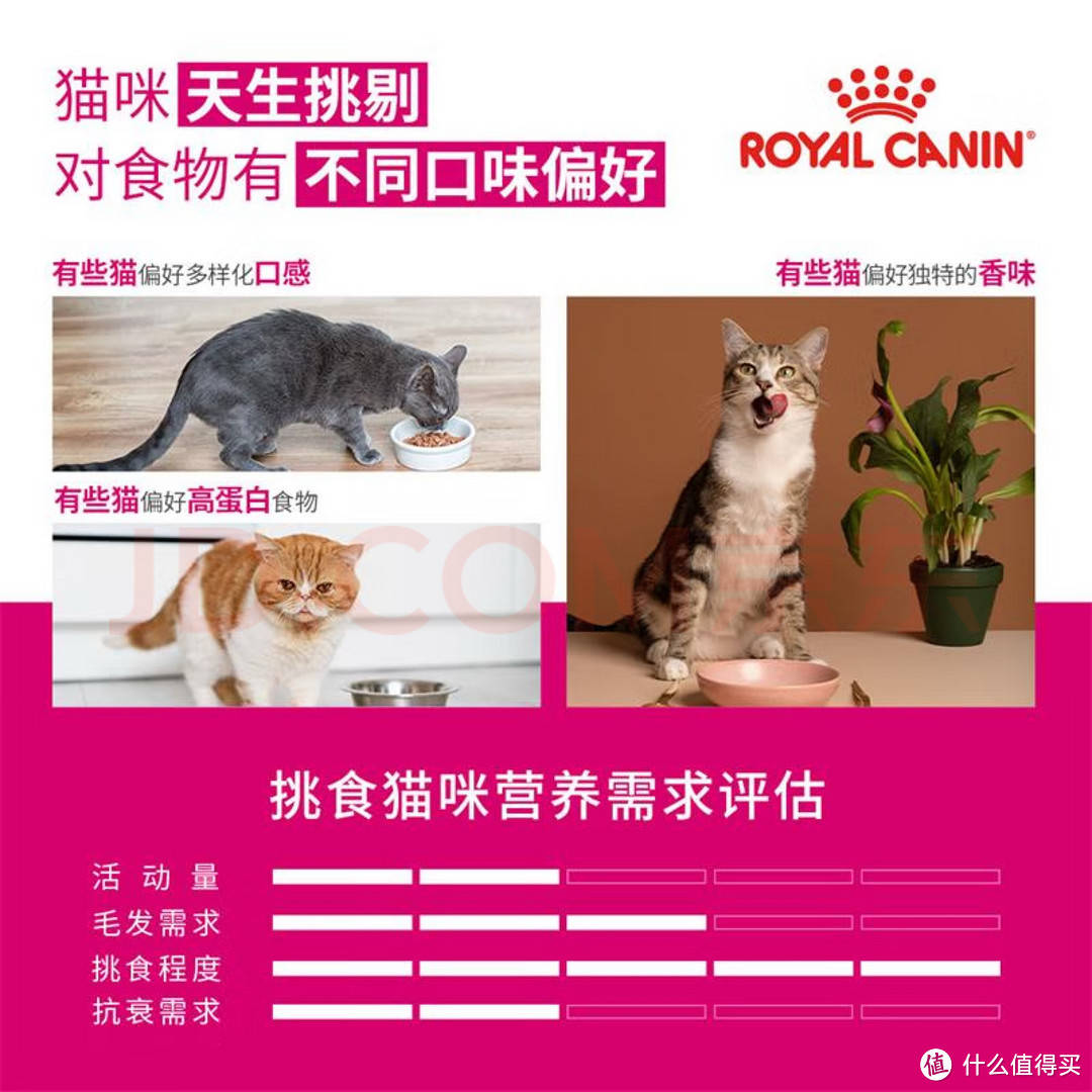 猫咪挑食不用愁，皇家猫粮全价粮，让您的爱宠胃口大开！