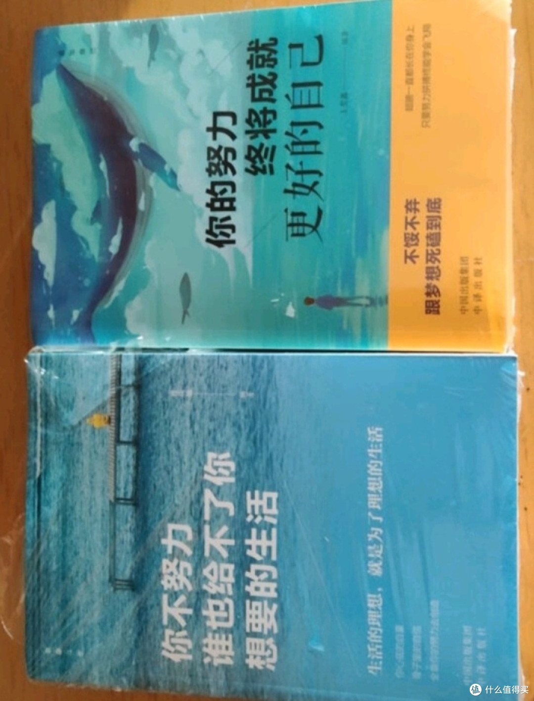 不努力,生活就会远离你!" - 成功人士的成功秘诀
