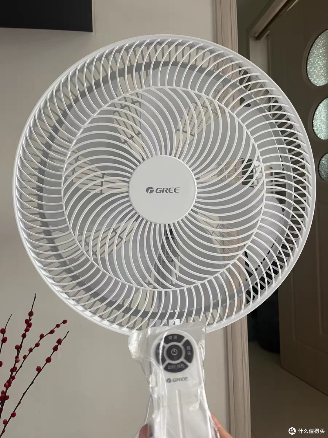 炎炎夏日,送你一缕清风