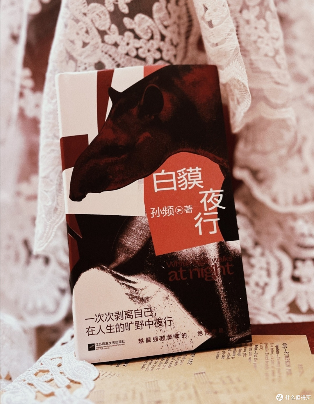 《白貘夜行》孙频