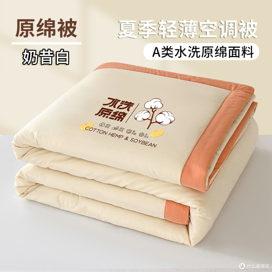 夏凉被子空调被2024新款夏季薄款被芯春秋被夏被可机洗非纯棉全棉
