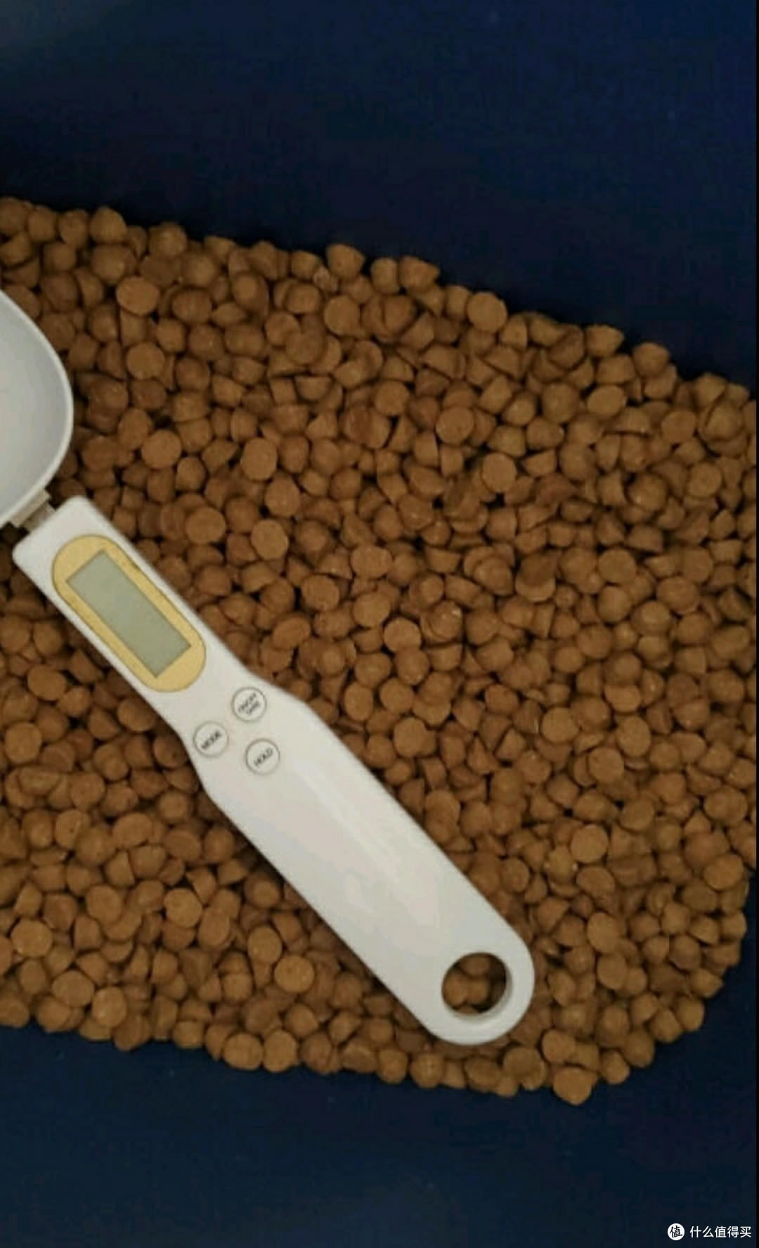 狗狗的星级美食体验!欧恩培狗粮让爱宠更健康!
