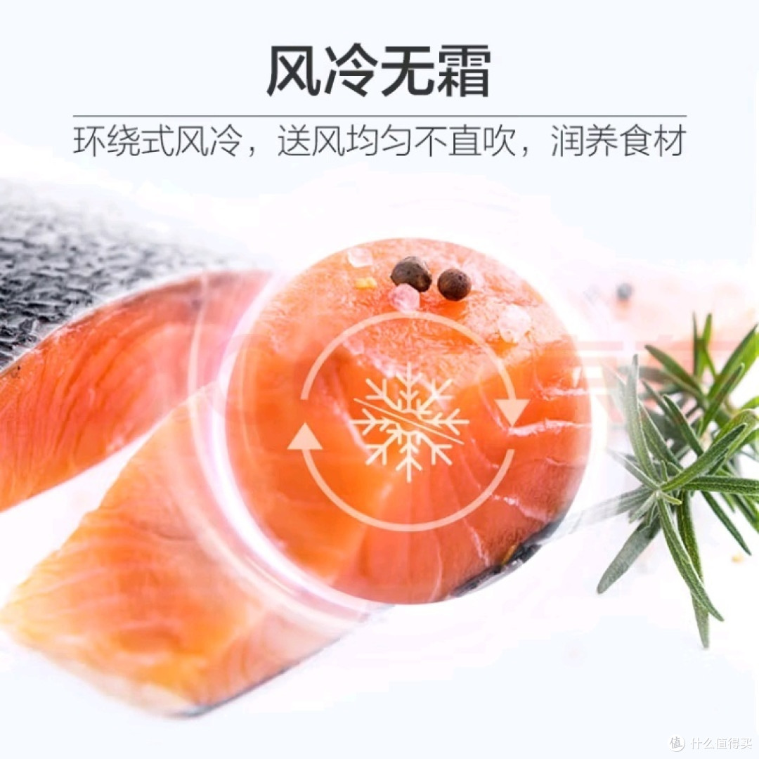 618购后晒!海尔(Haier)170升两门二门双门节能低噪风冷无霜小型家用电冰箱