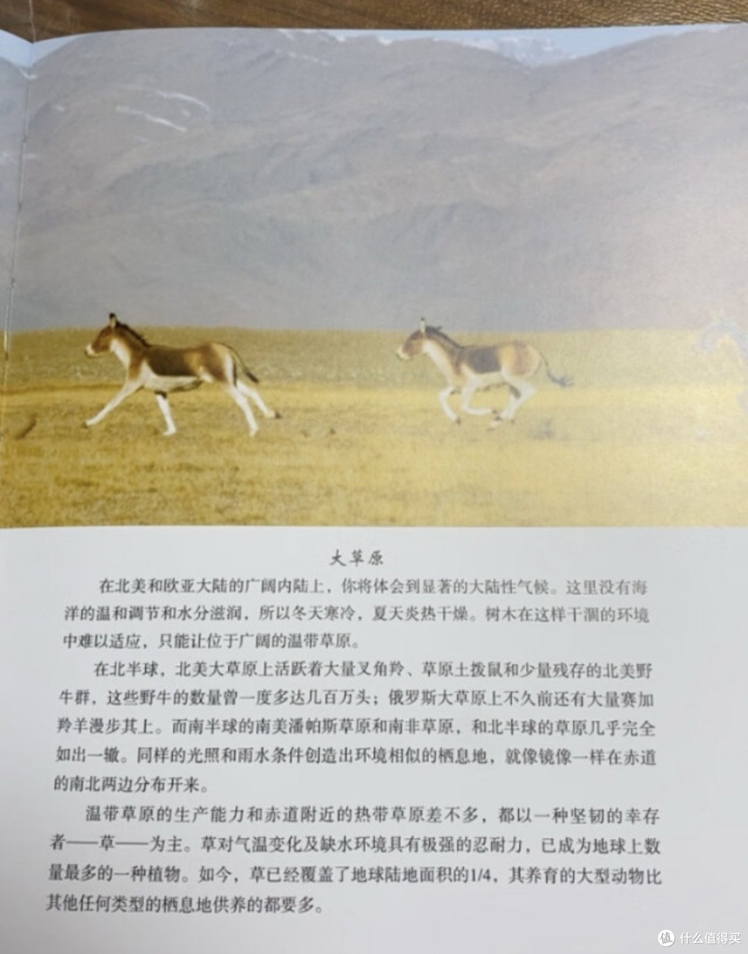 地球脉动两部曲:自然之美+奇迹世界