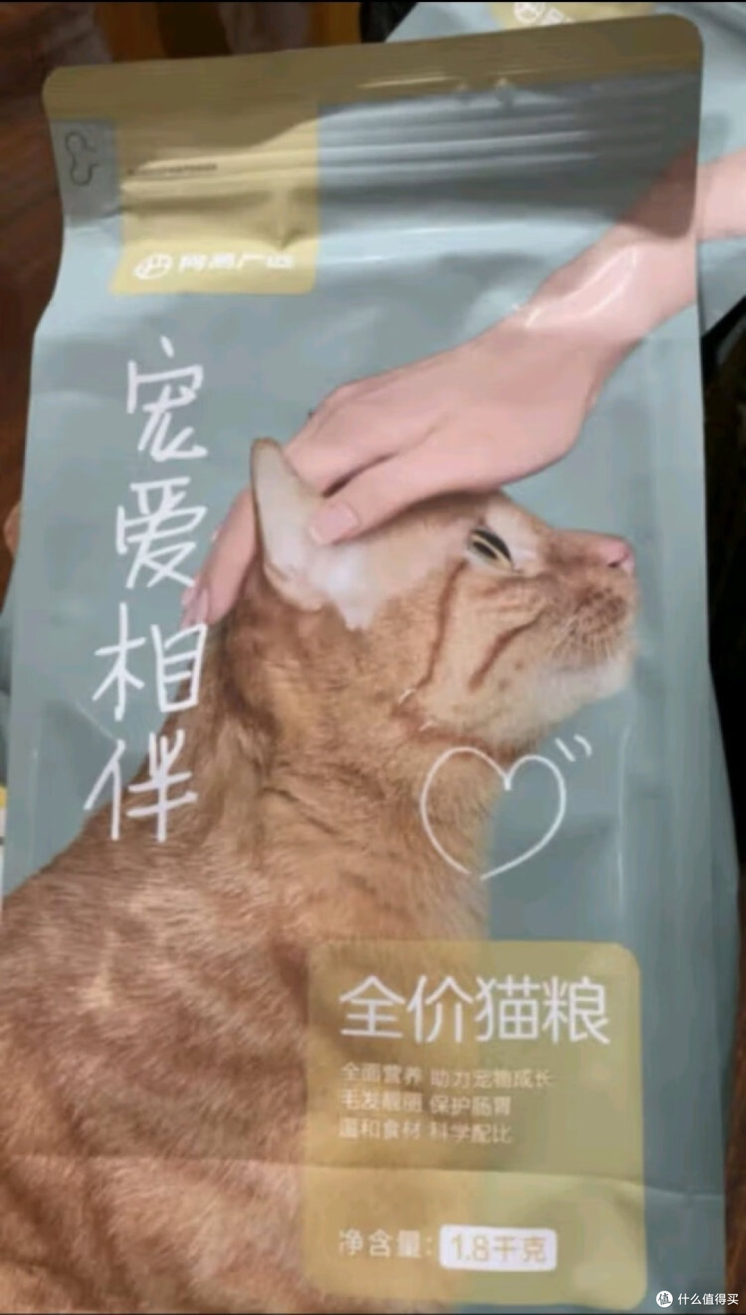猫粮怎么选心得1