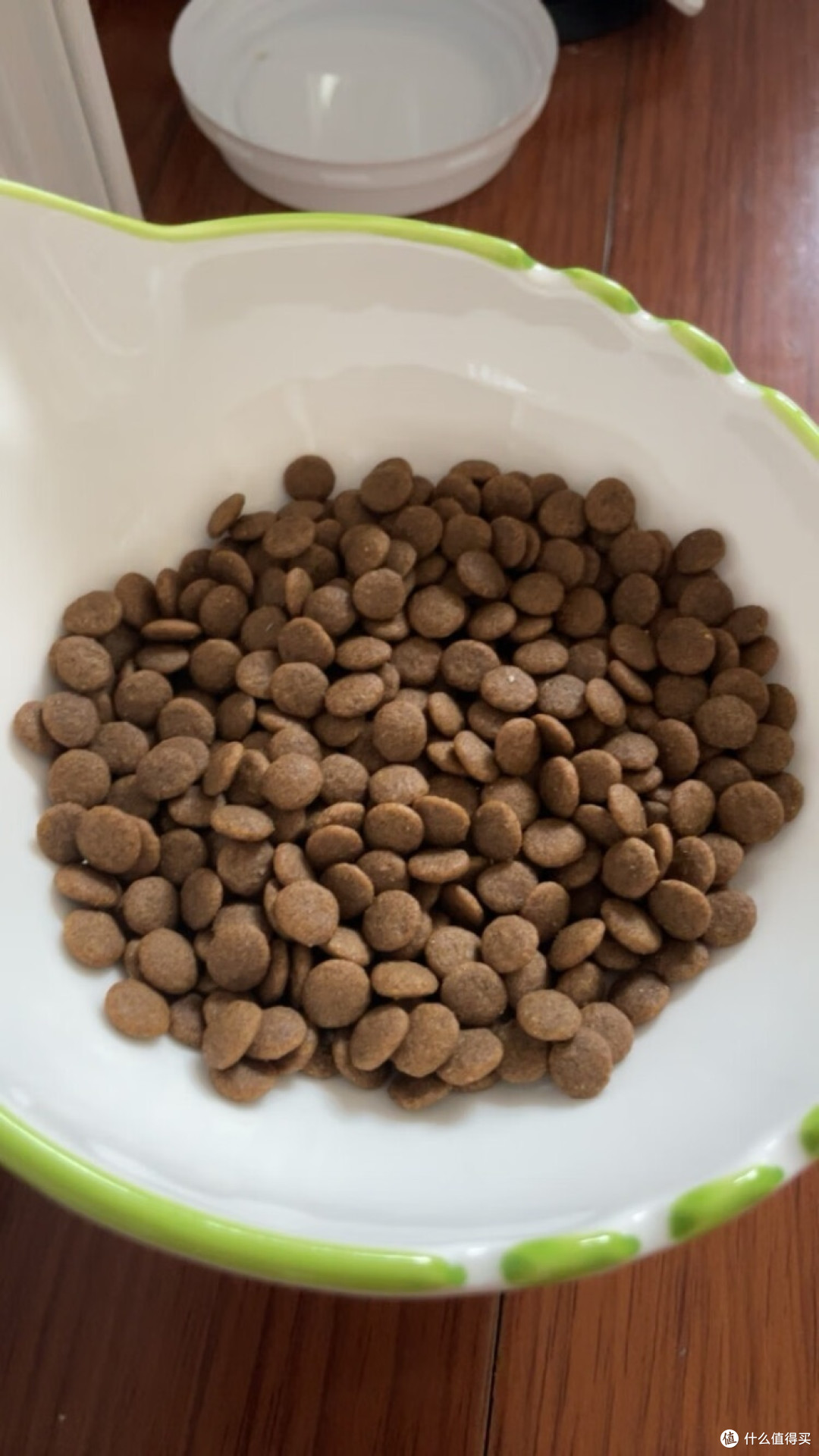 猫粮怎么选心得1