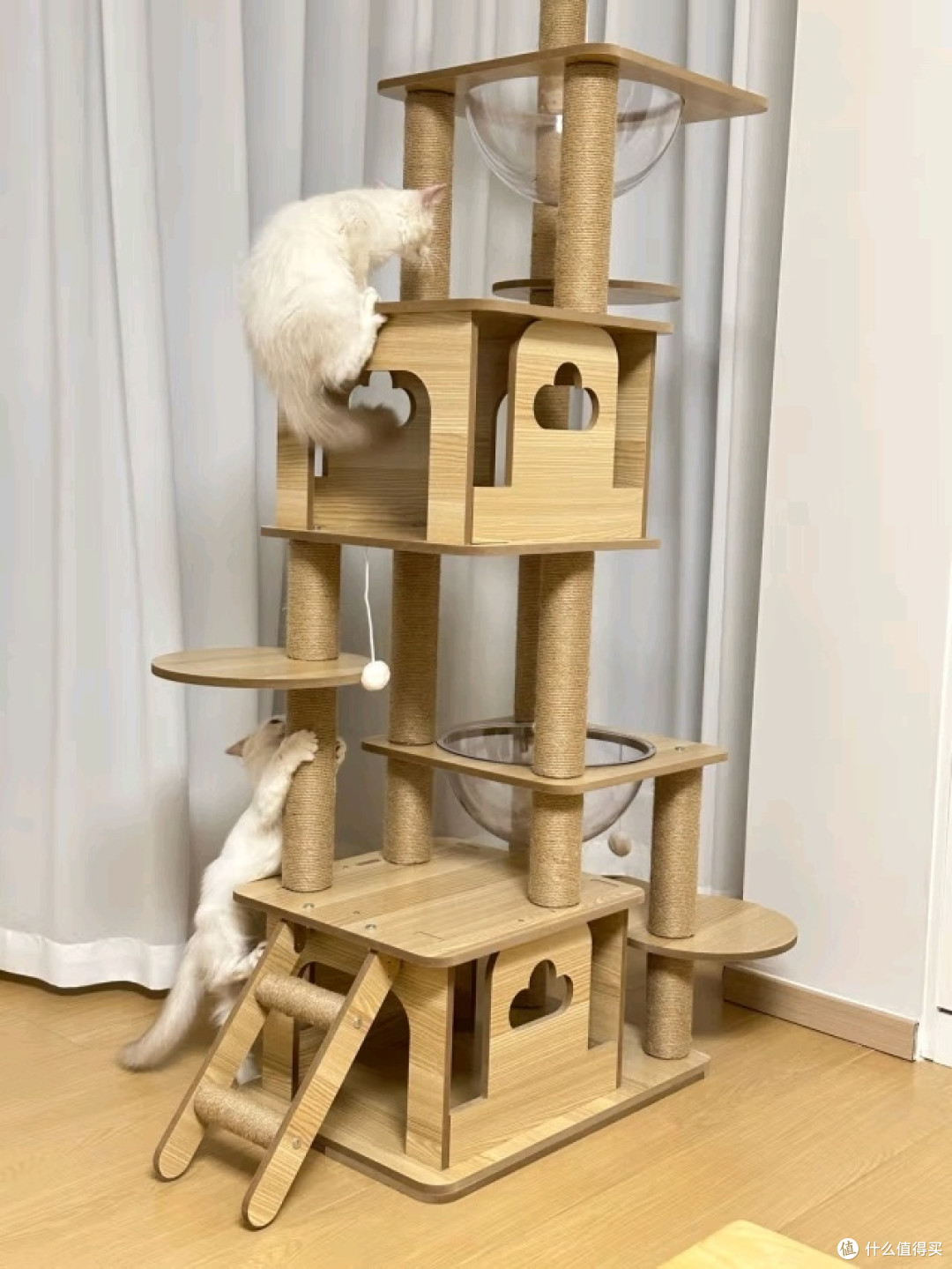 猫爬架大比拼
