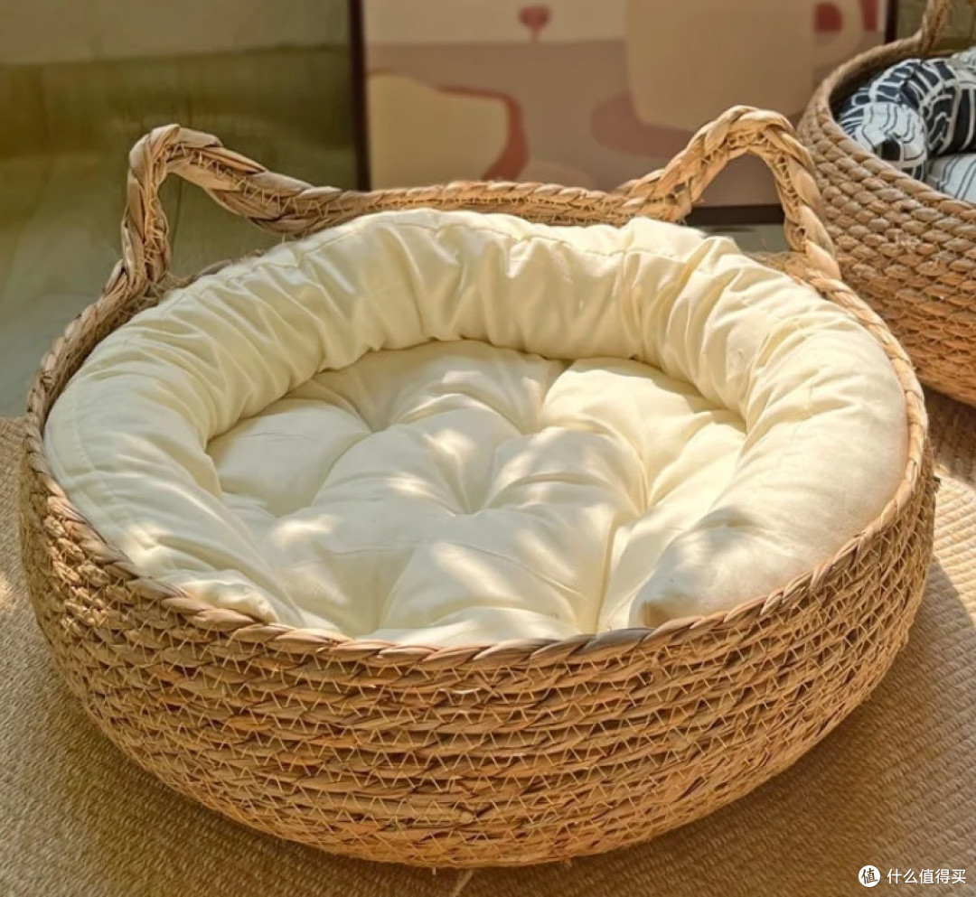 那些养猫没必要的花费!
