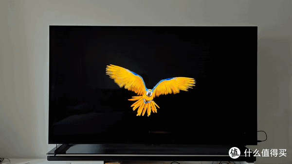 MiniLED电视之王,TCL X11H评测