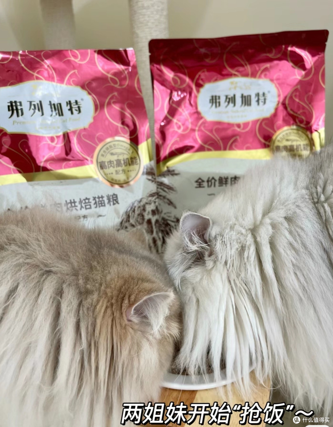 弗列加特 85%鲜肉含量全价鲜肉烘焙猫粮 成猫幼猫通用天然粮鲜肉粮 鸡肉(肠道呵护)1.8kg
