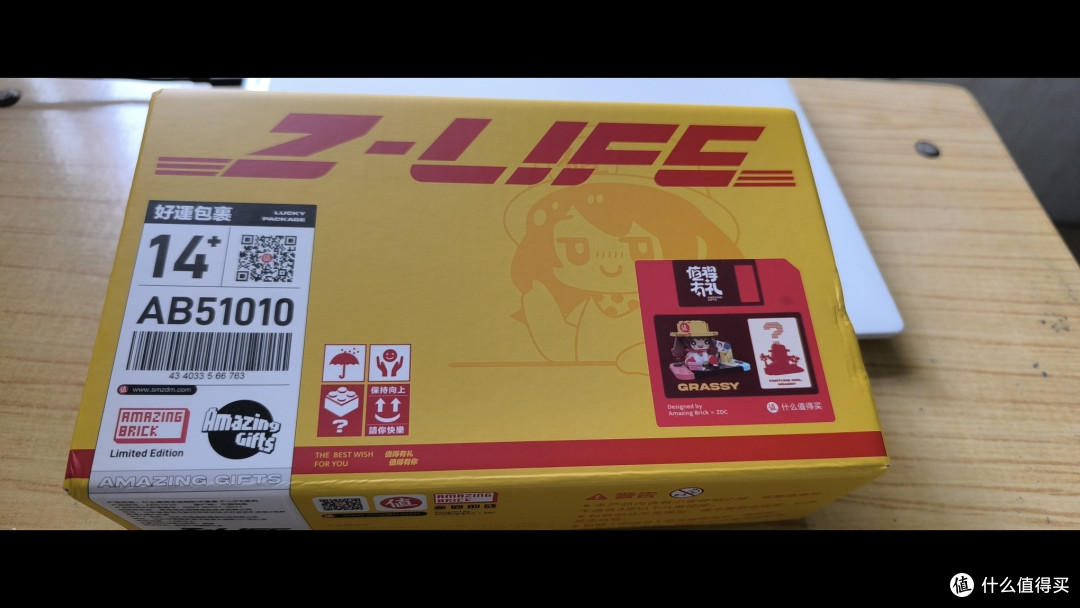 Z-LIFE 张小草系列积木开箱