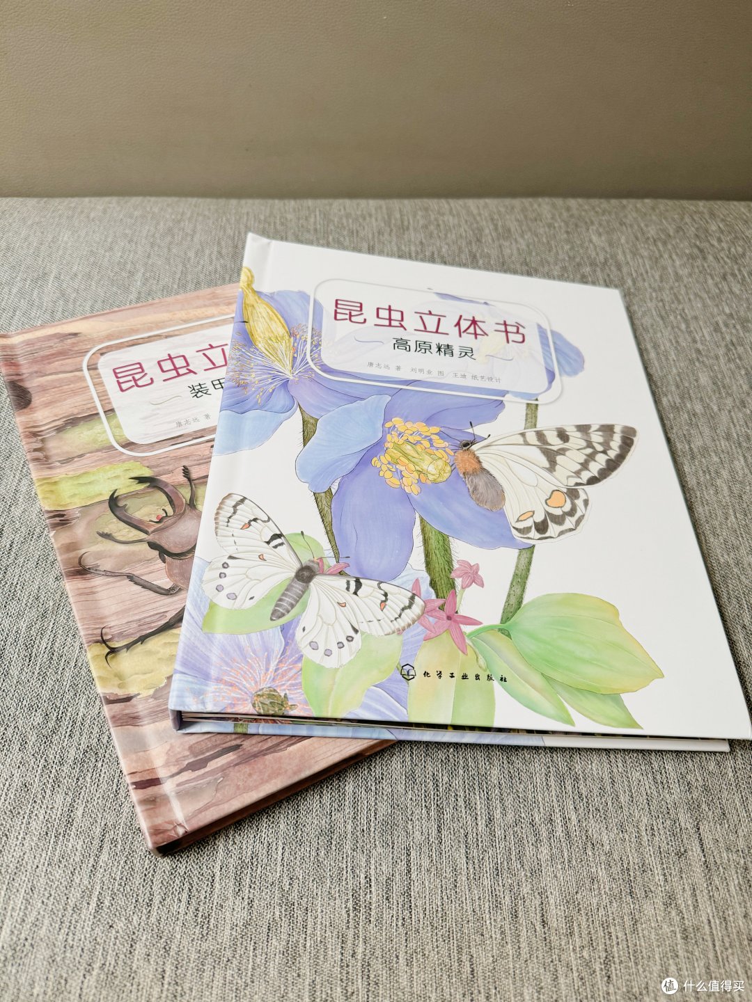 你看!书里的昆虫世界活了,应该没人拒绝这本立体书吧!