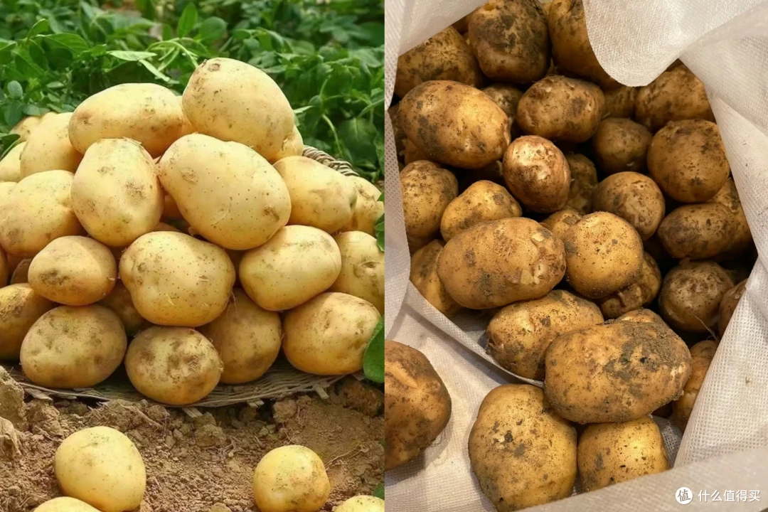 正在失传的20个「买菜技巧」