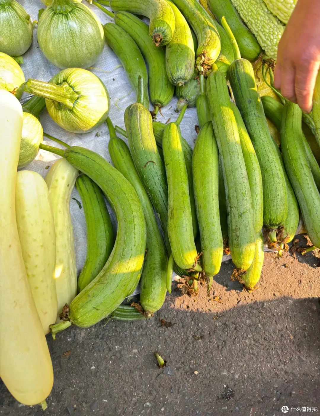 正在失传的20个「买菜技巧」