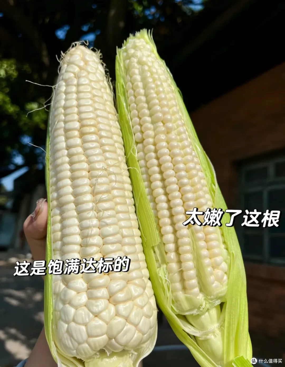 正在失传的20个「买菜技巧」