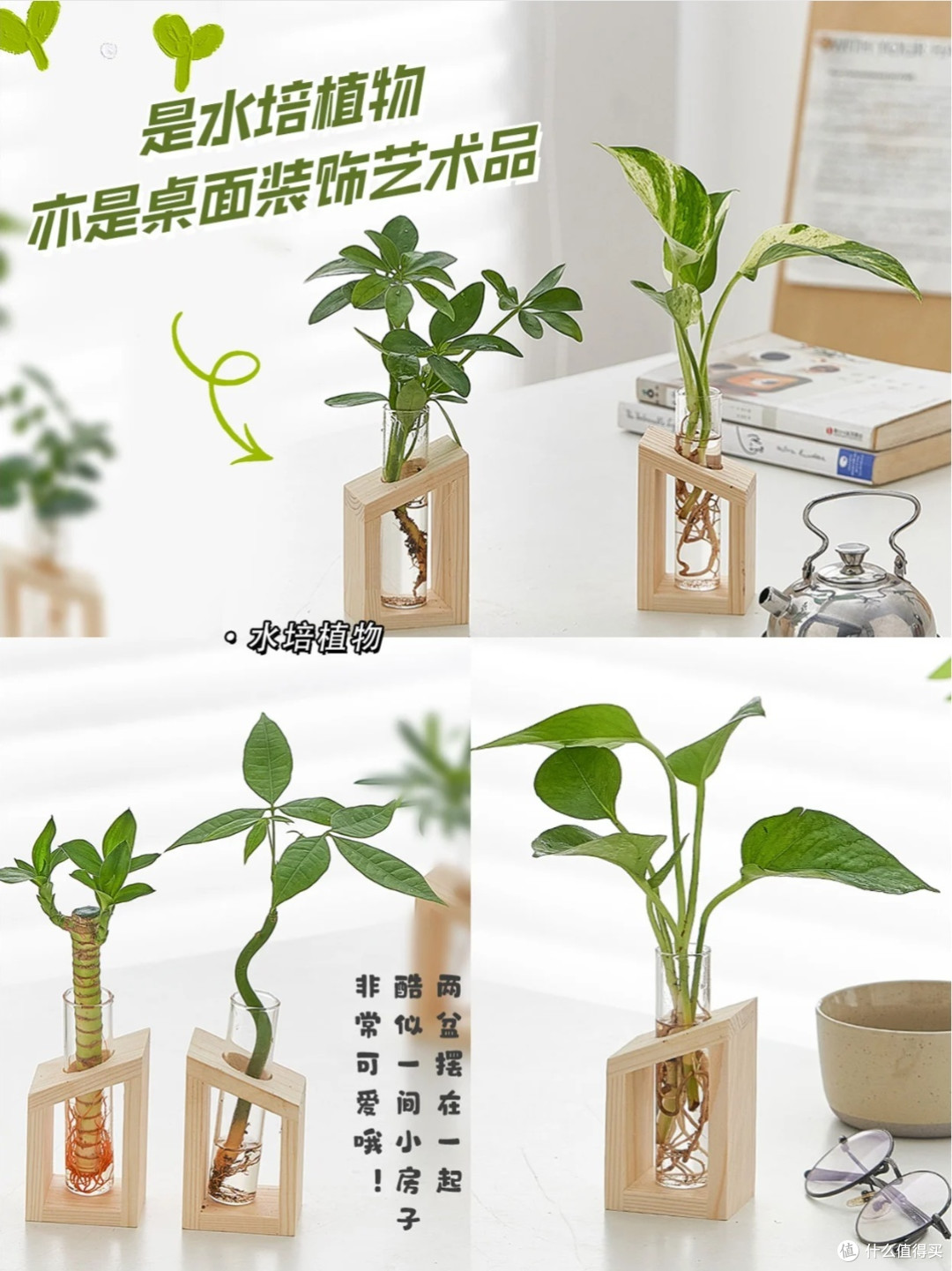 🍌拒绝"蕉绿"，随"薪"所欲！