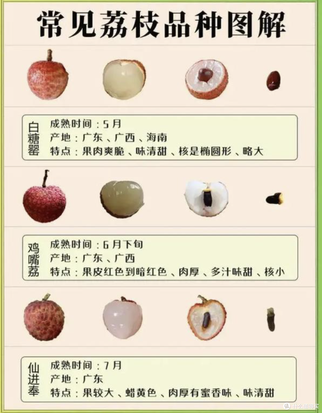 荔枝100吃:一果百味,古今传奇!