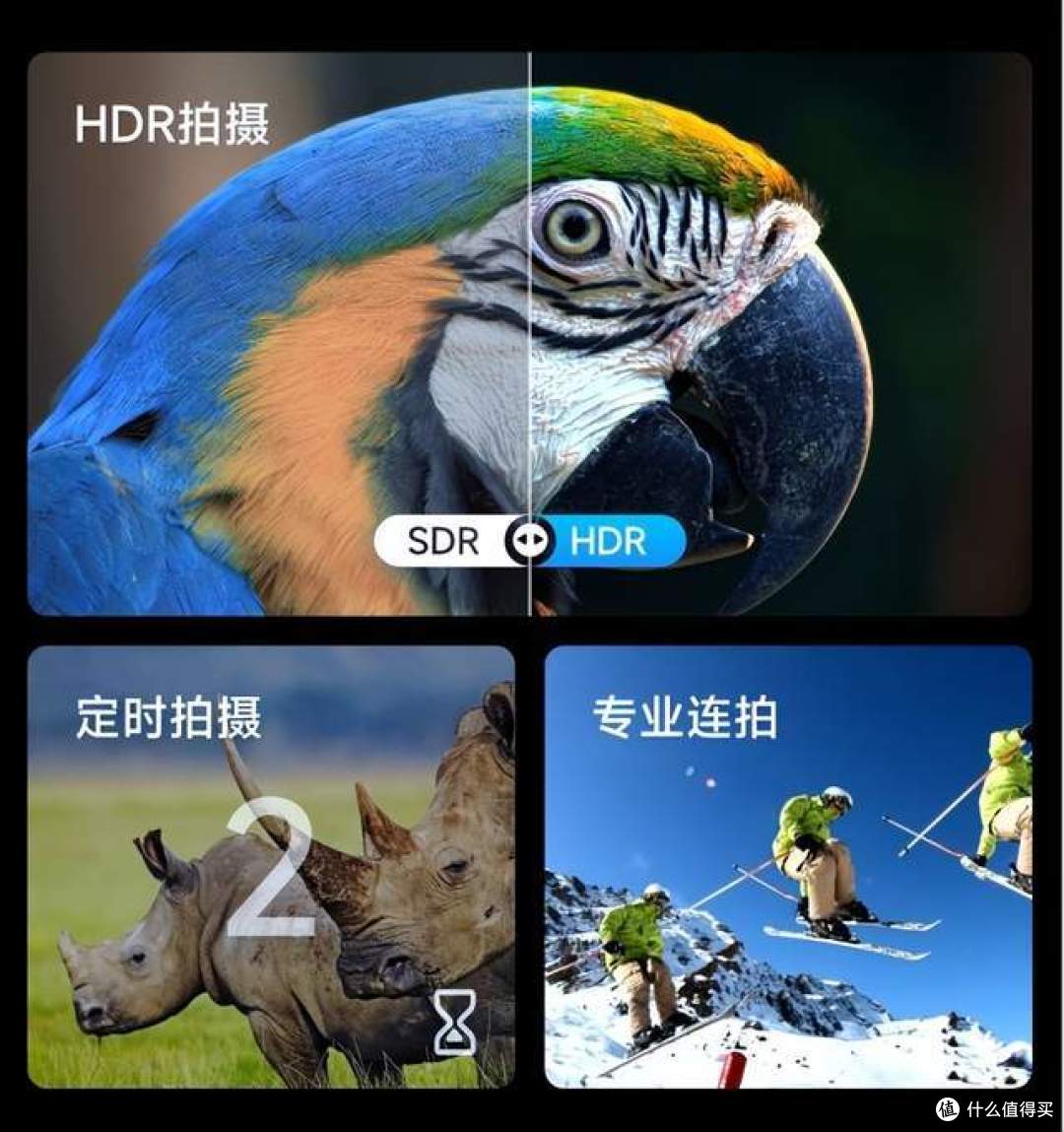 有大屏的智能望远镜!!观星观景大屏呈现,实时拍摄长焦定格,当当狸智能天文望远镜TW2来啦
