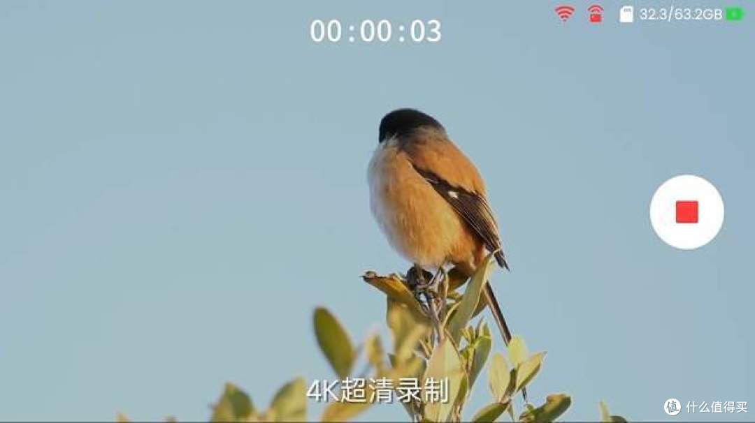 有大屏的智能望远镜!!观星观景大屏呈现,实时拍摄长焦定格,当当狸智能天文望远镜TW2来啦