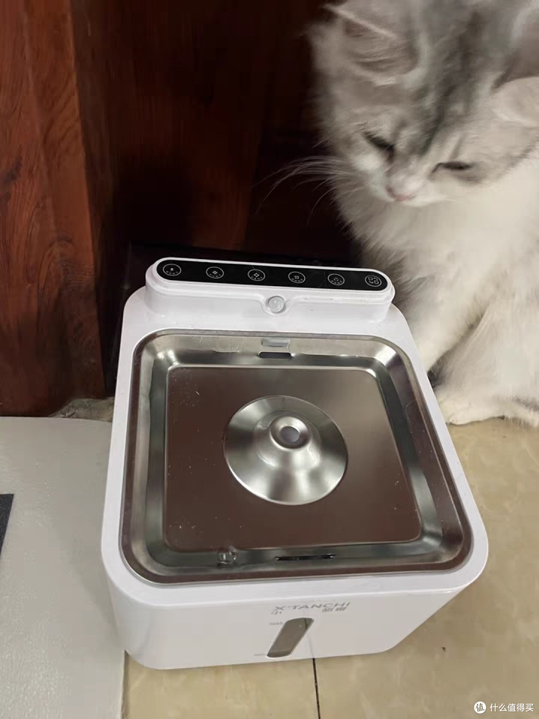 小甜橙猫咪饮水机流动水不插电宠物无线消毒杀菌恒温加热喝水器狗