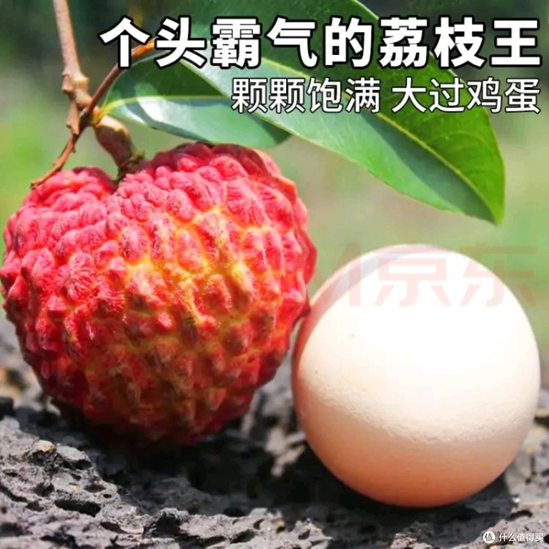 妃子笑,笑樱樱