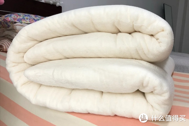 源生活 100%天然新疆棉花被胎 双人空调棉胎薄被买家秀