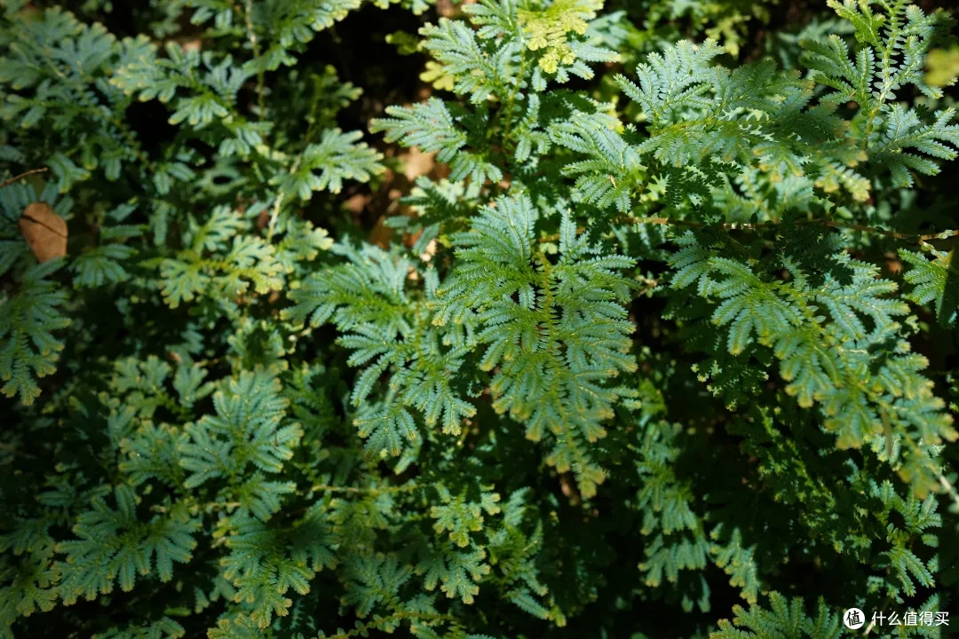 这座杭州小山城的顶级风光,自驾/骑行/徒步/玩水,总有一样适合你