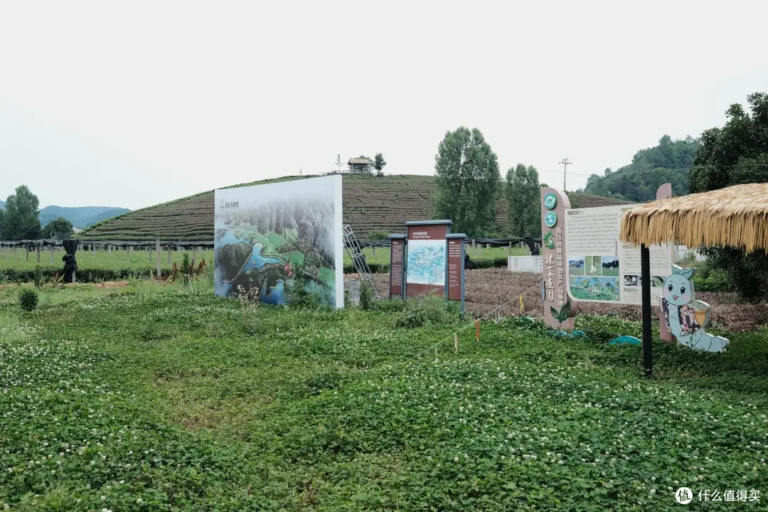 这座杭州小山城的顶级风光,自驾/骑行/徒步/玩水,总有一样适合你