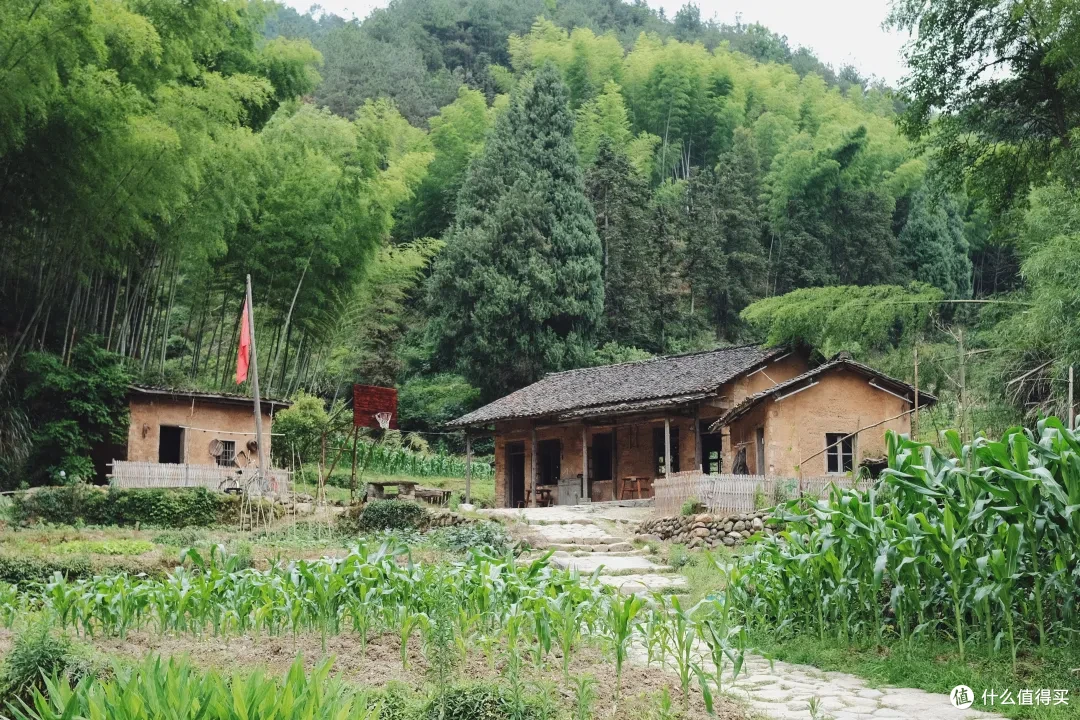 这座杭州小山城的顶级风光,自驾/骑行/徒步/玩水,总有一样适合你