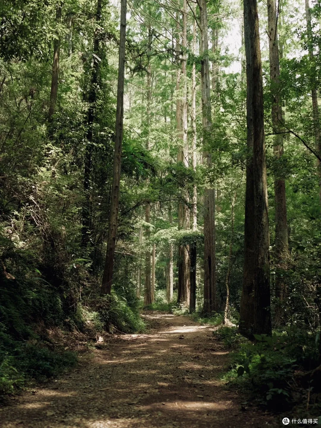这座杭州小山城的顶级风光,自驾/骑行/徒步/玩水,总有一样适合你