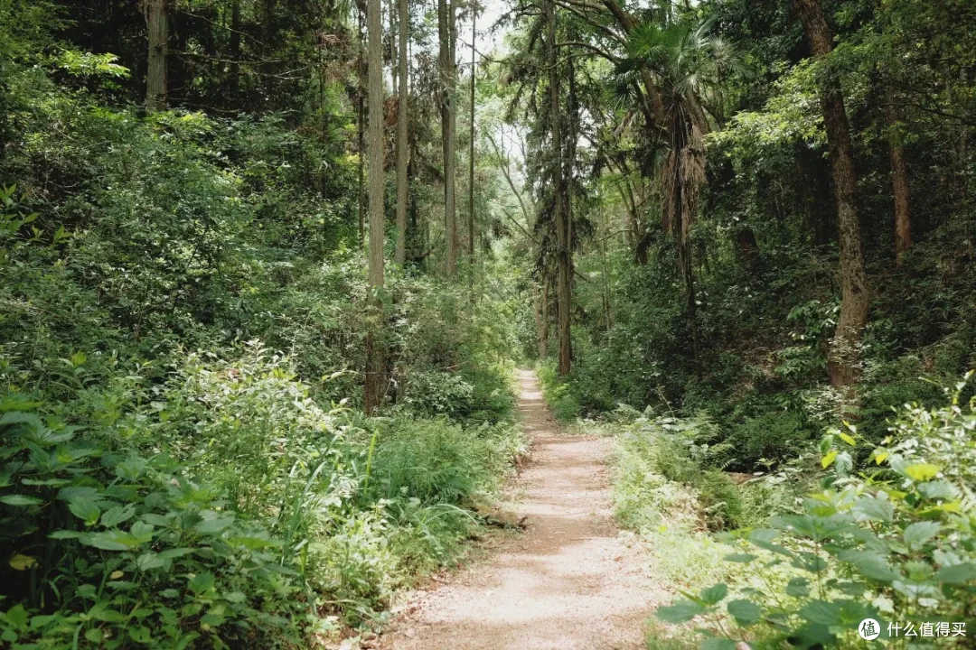 这座杭州小山城的顶级风光,自驾/骑行/徒步/玩水,总有一样适合你