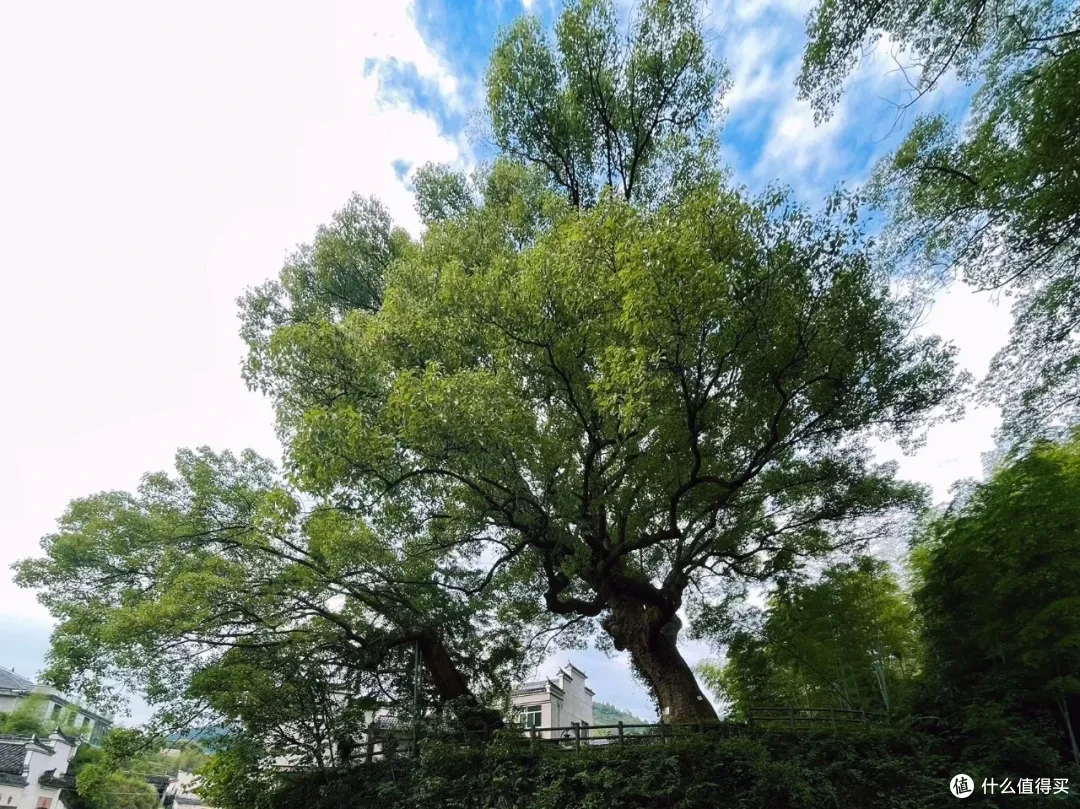 这座杭州小山城的顶级风光,自驾/骑行/徒步/玩水,总有一样适合你