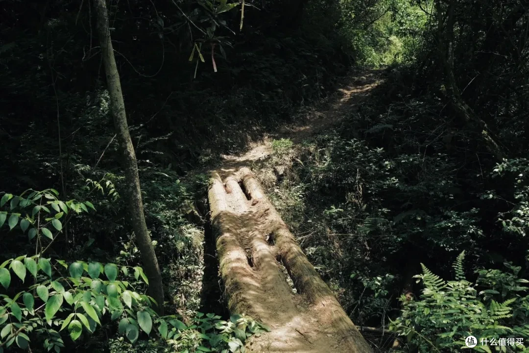 这座杭州小山城的顶级风光,自驾/骑行/徒步/玩水,总有一样适合你