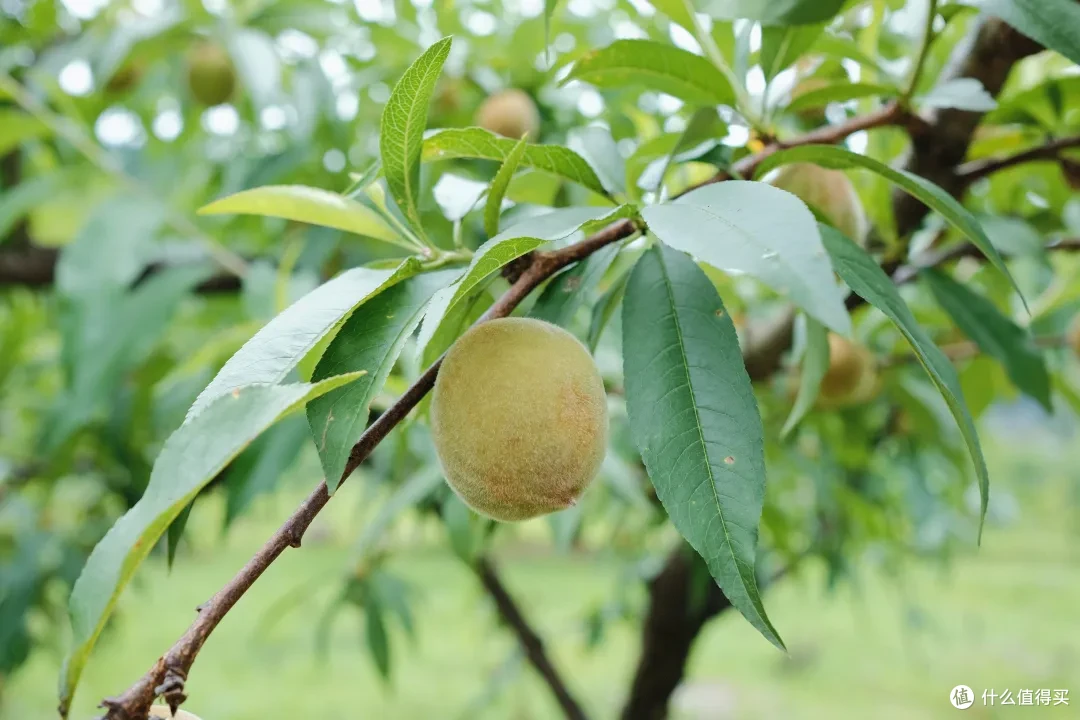 这座杭州小山城的顶级风光,自驾/骑行/徒步/玩水,总有一样适合你