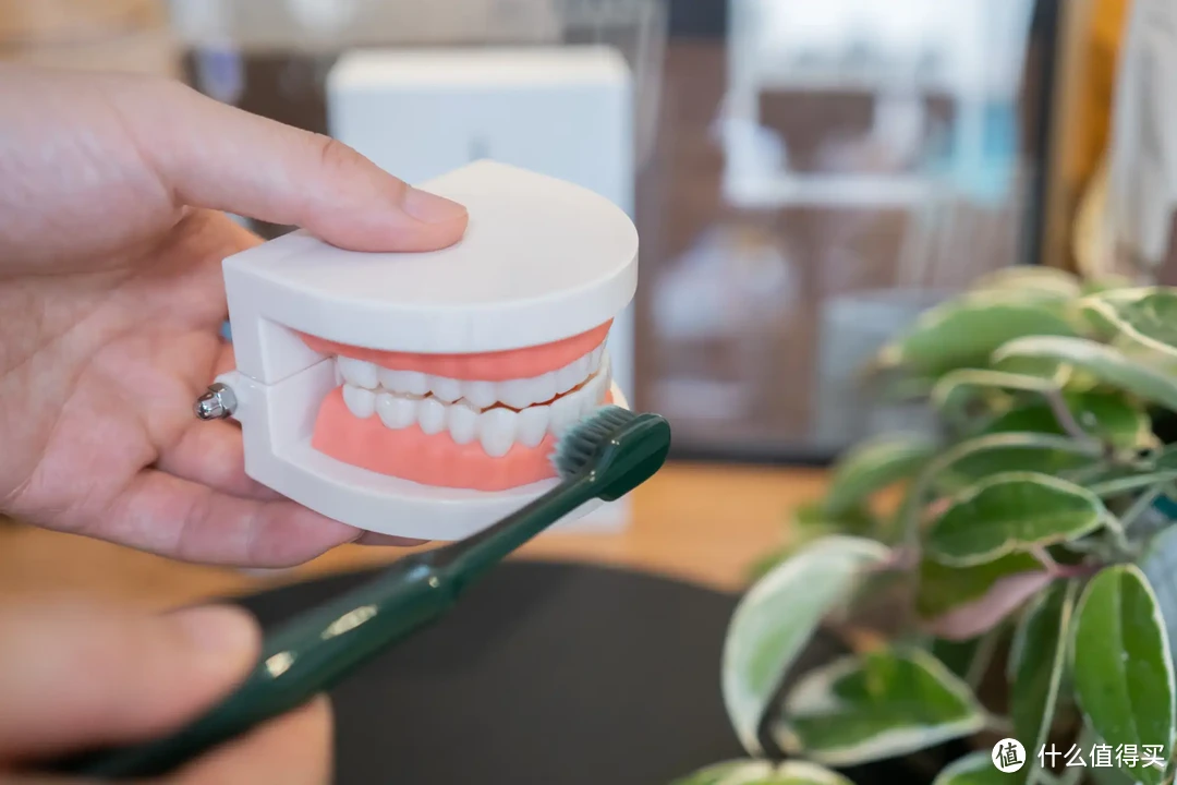可以自动帮你刷牙的电动牙刷，徕芬扫振电动牙刷入手体验