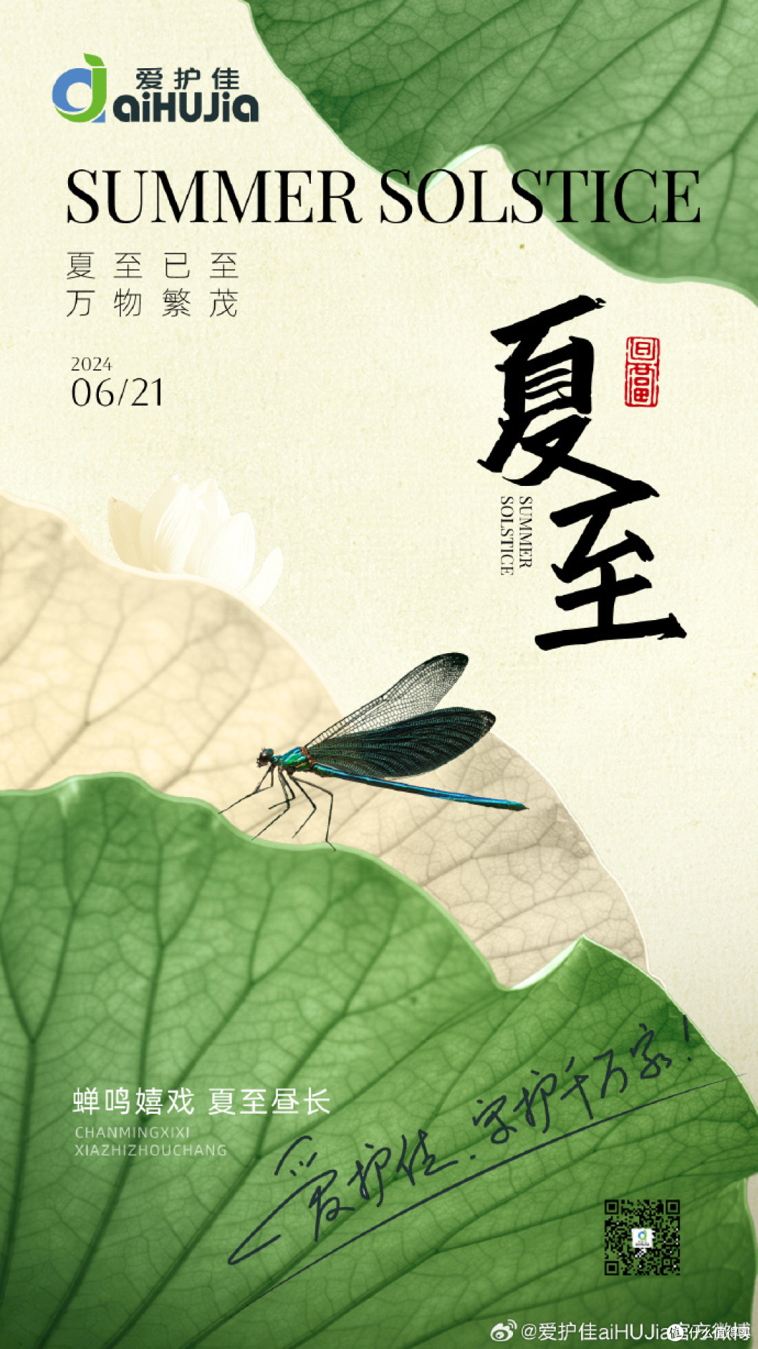 夏至已至，万物繁茂。
