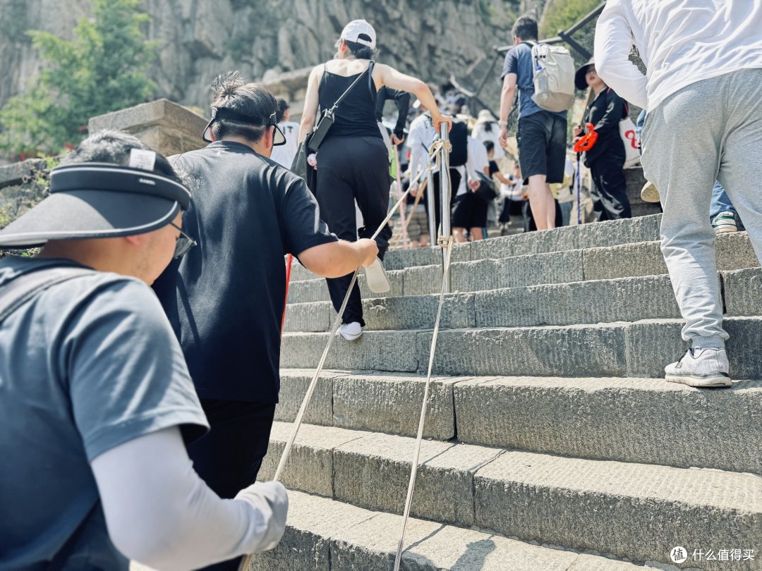 泰山见闻:见过路子野的,没见过这么野的。