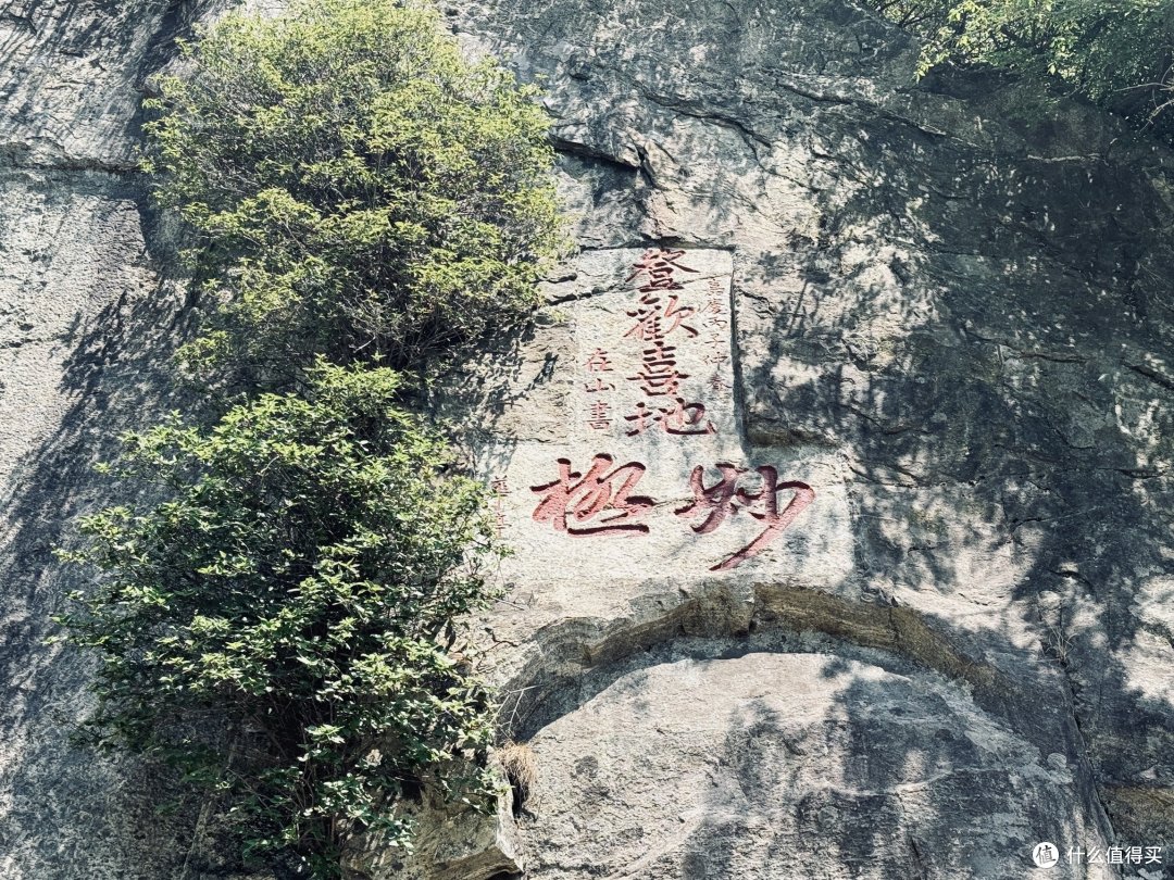 泰山见闻:见过路子野的,没见过这么野的。