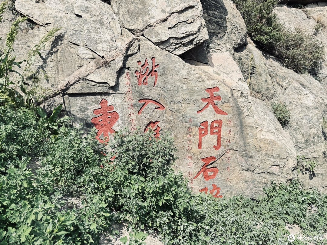泰山见闻:见过路子野的,没见过这么野的。