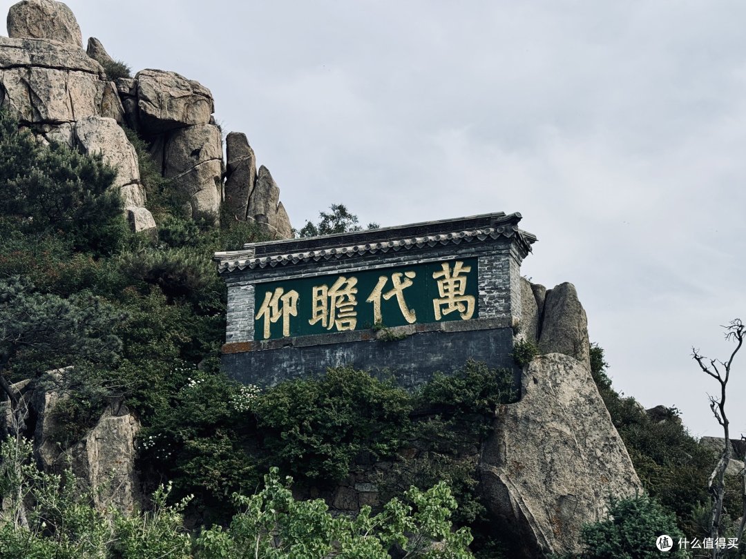 泰山见闻:见过路子野的,没见过这么野的。