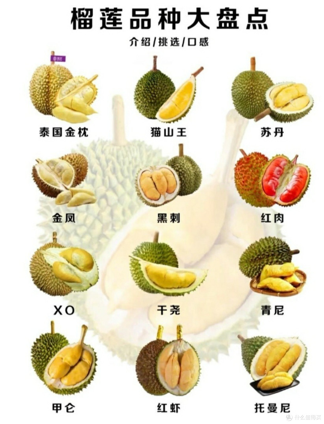 盘点这个618我买的榴莲