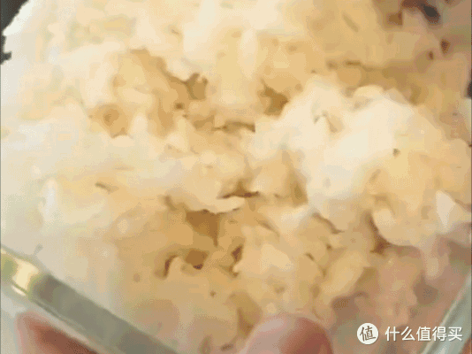 40小时真空锁鲜电饭煲,隔夜饭不用收冰箱你敢信吗?