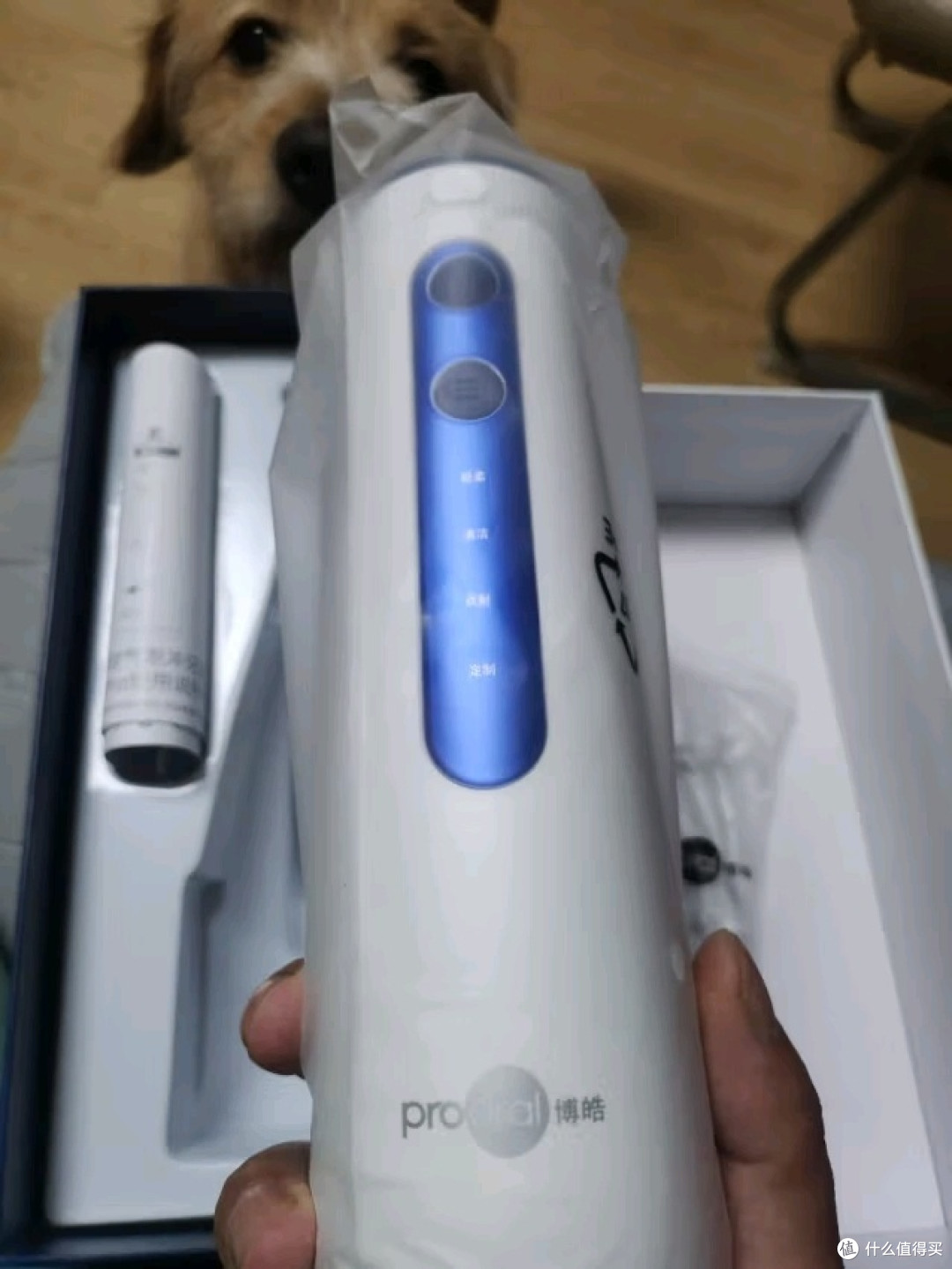 博浩冲牙器,清洁牙齿好帮手!